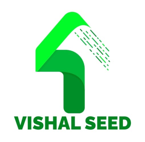 Vishal Logo